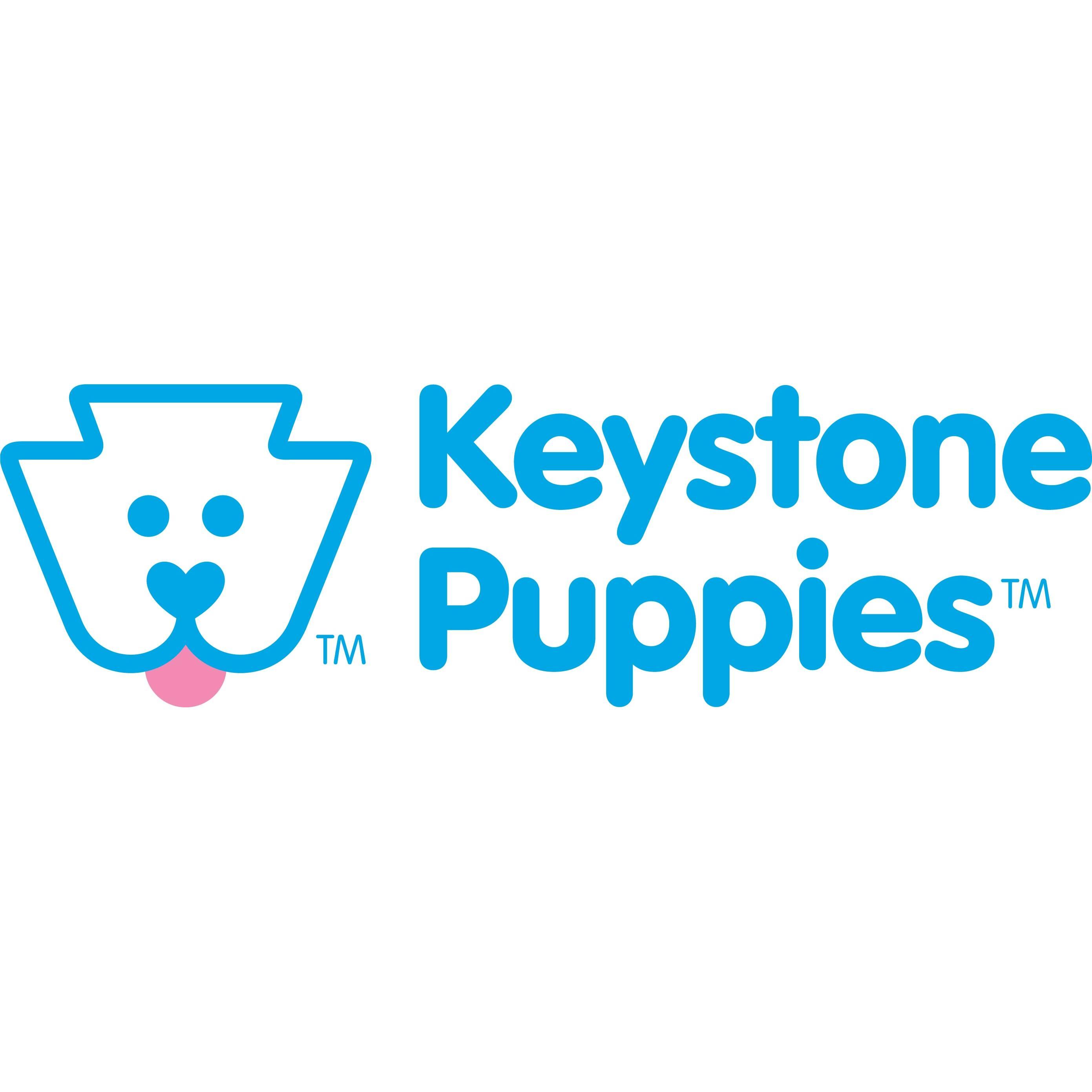 Keystone Puppies