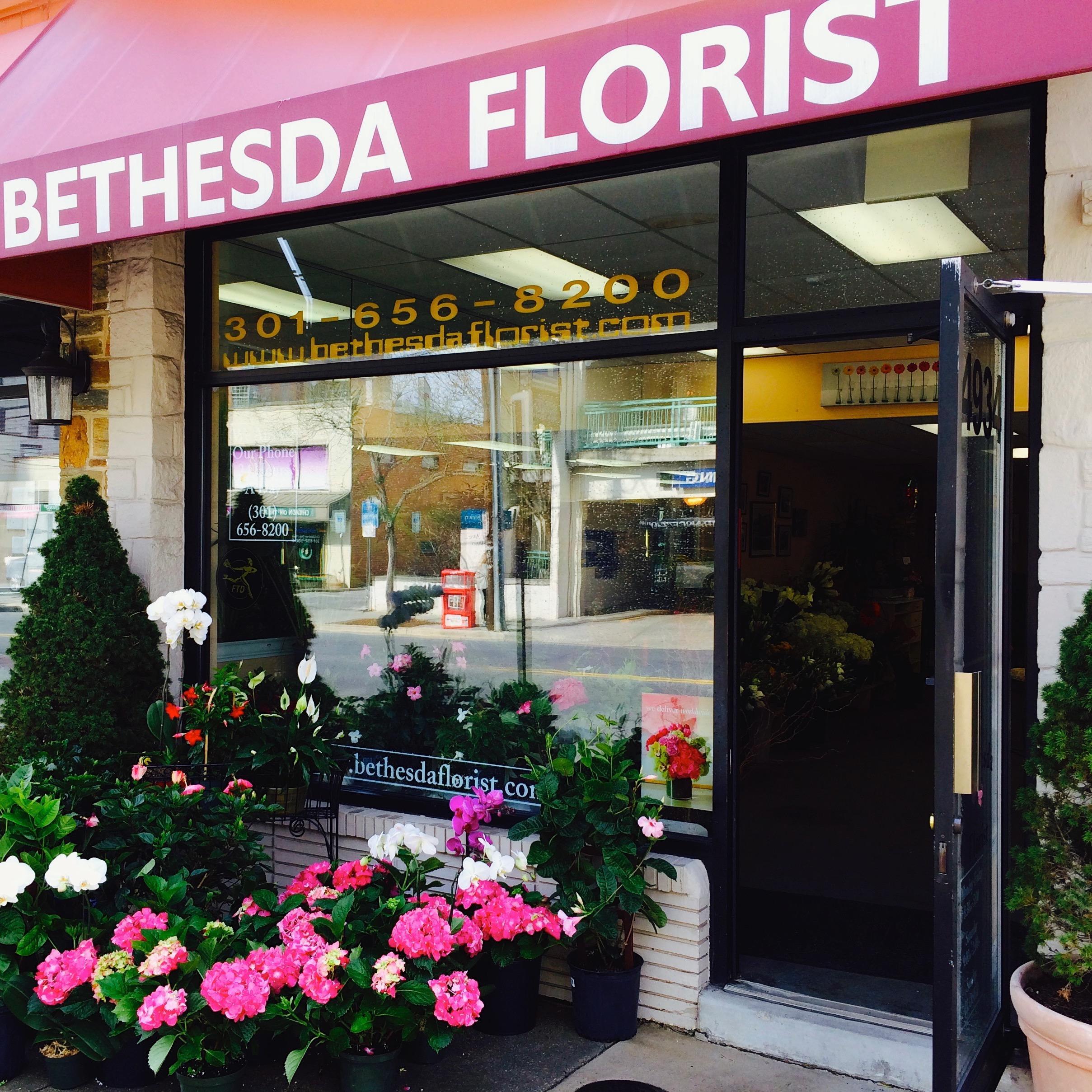 Bethesda Florist