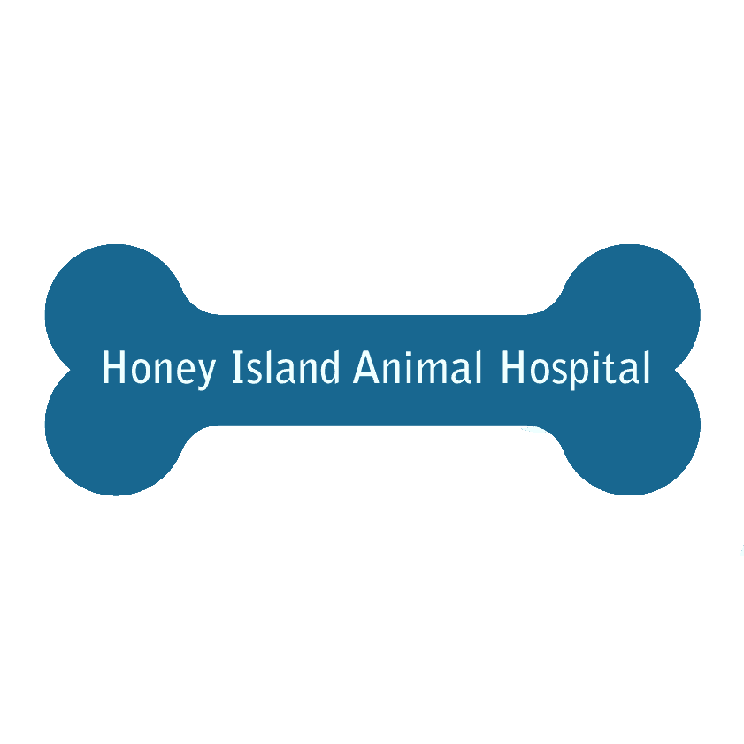 Honey Island Animal Hospital