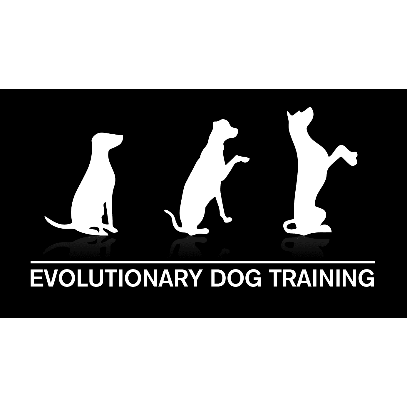 Evolutionary Dog Training