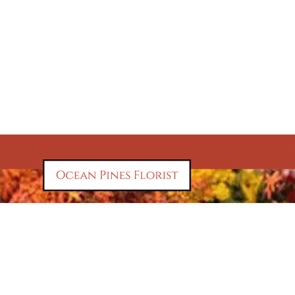 Ocean Pines Florist