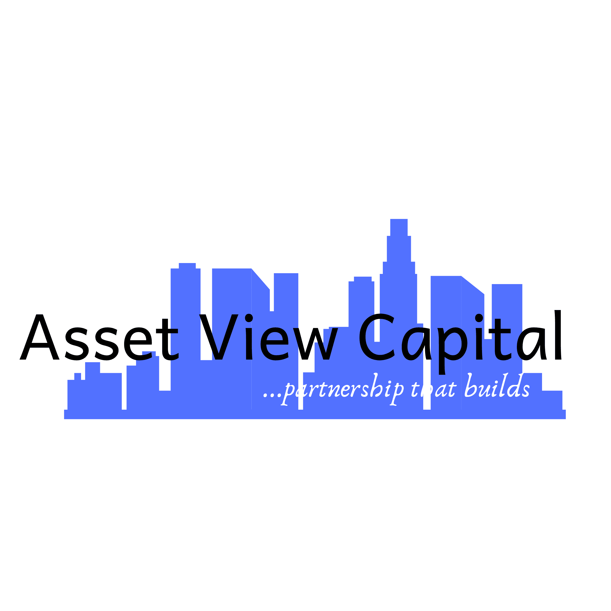 ASSET VIEW CAPITAL