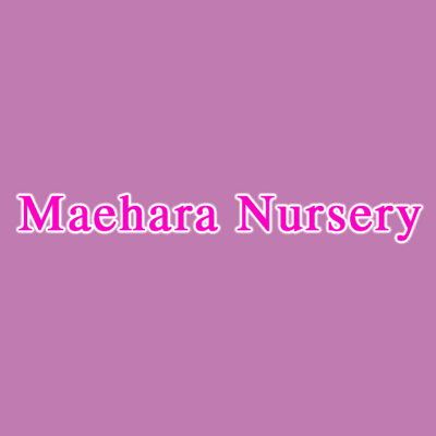 Maehara Nursery