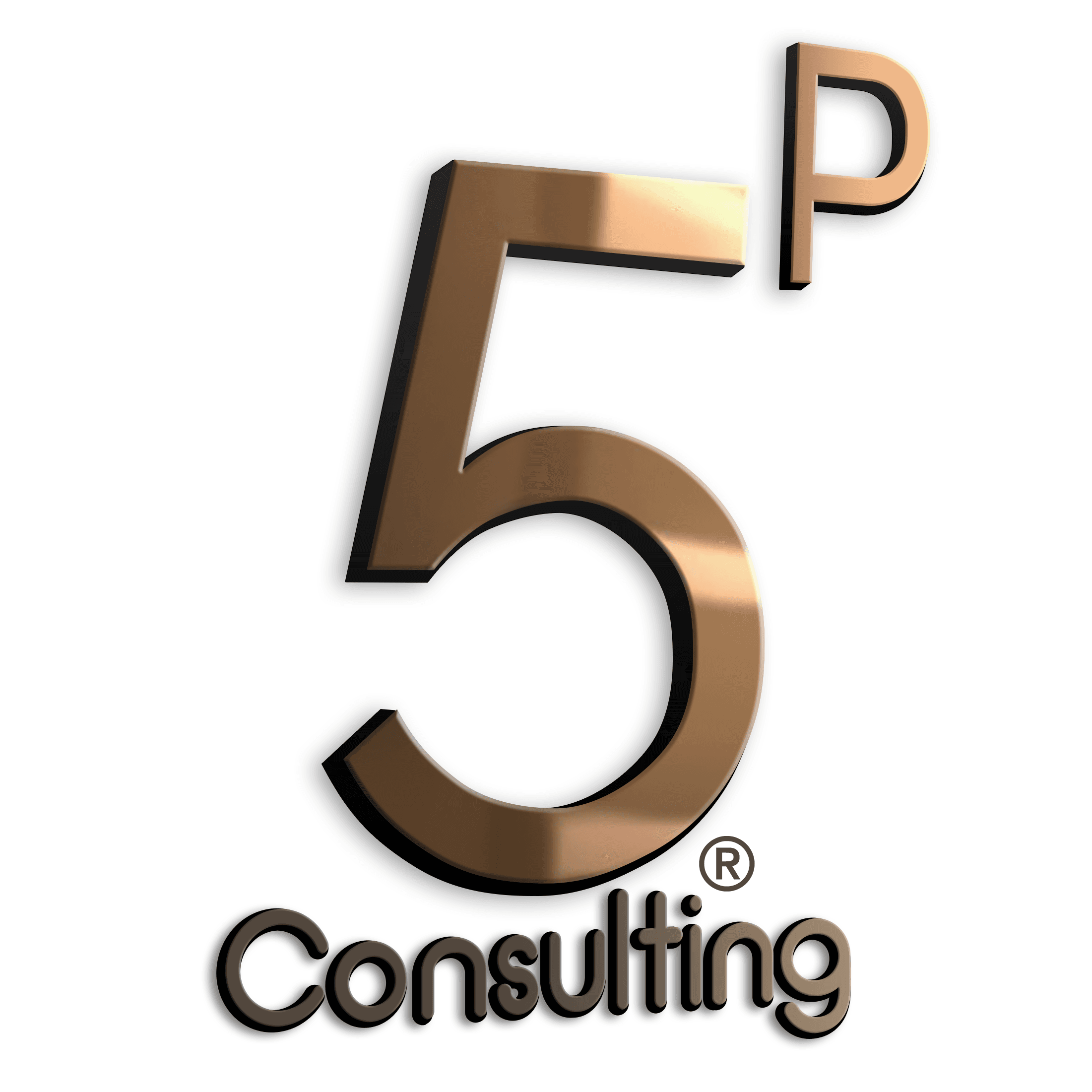 5P Consulting