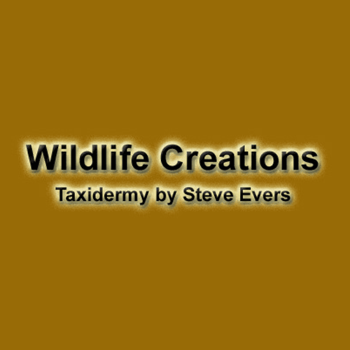 Wildlife Creations Taxidermy