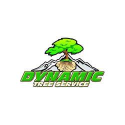 Dynamic Tree Service LLC