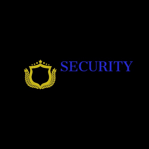 Victorian Security & Electronics LLC