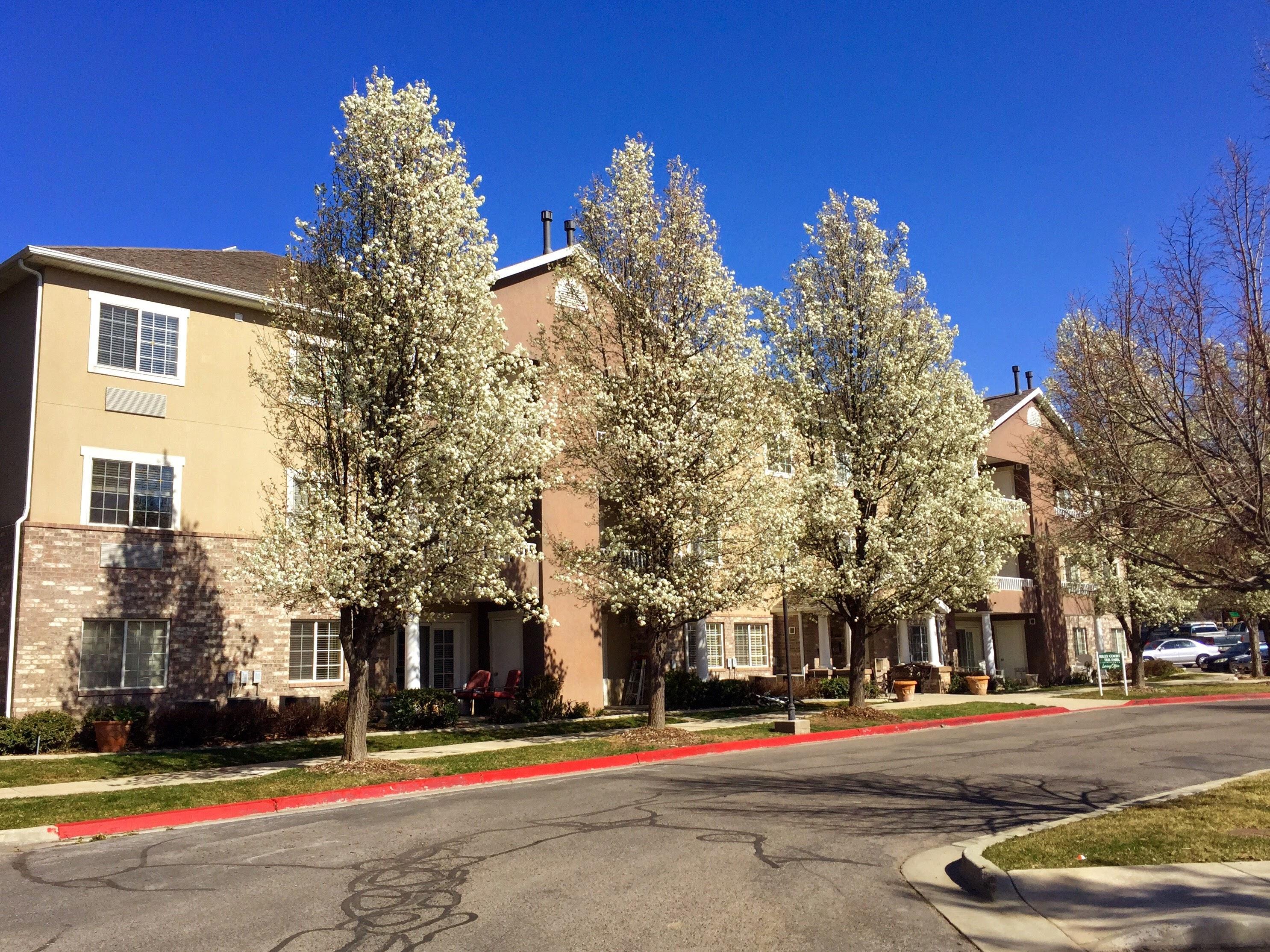 Riley Court Apartments