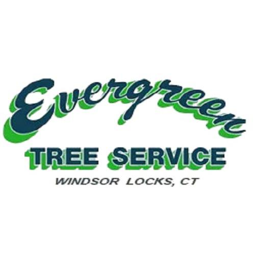 Evergreen Tree Service