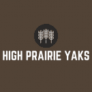 High Prairie Yaks