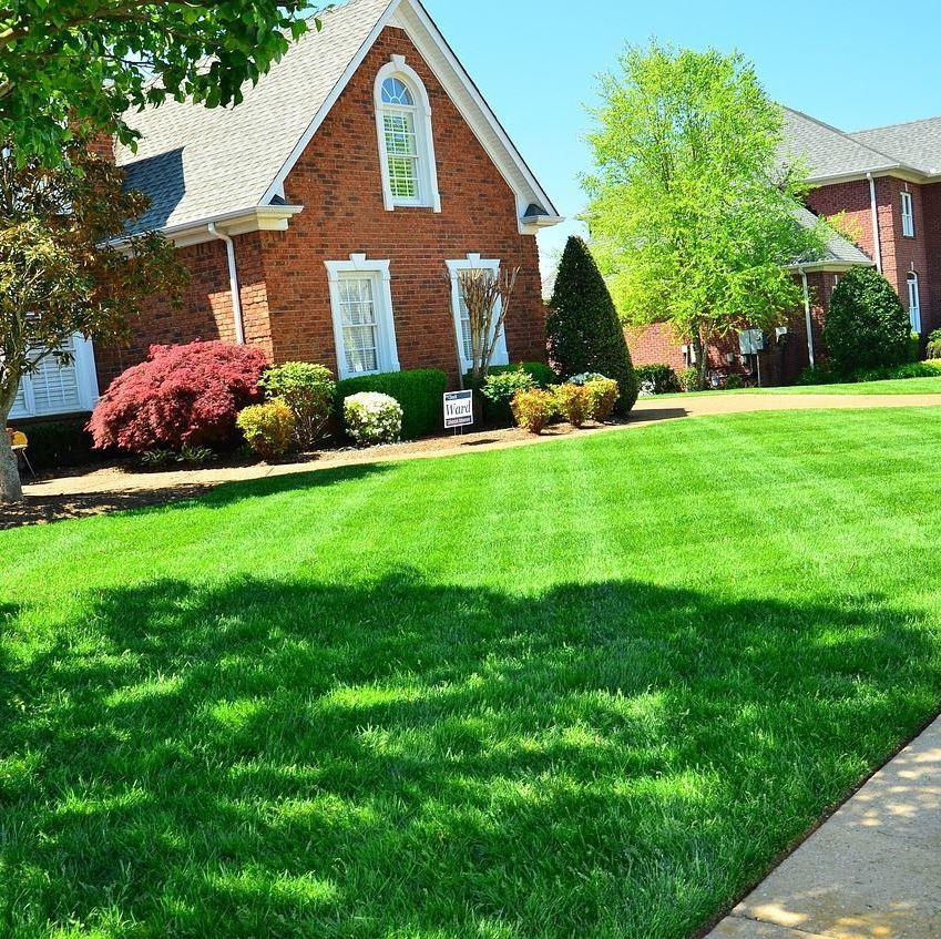 The Other Side Lawn and Landscape LLC