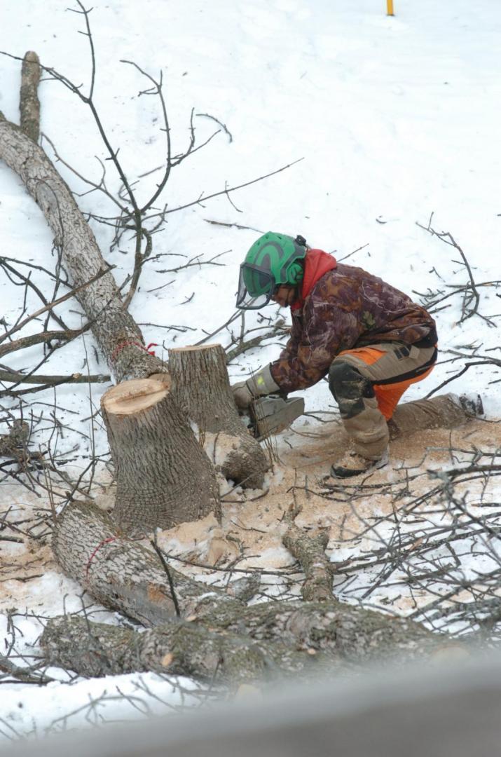 Arboriculture Arbo-Scape