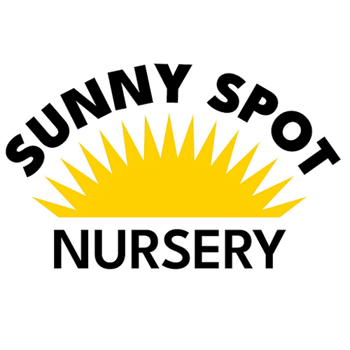 Sunny Spot Nursery