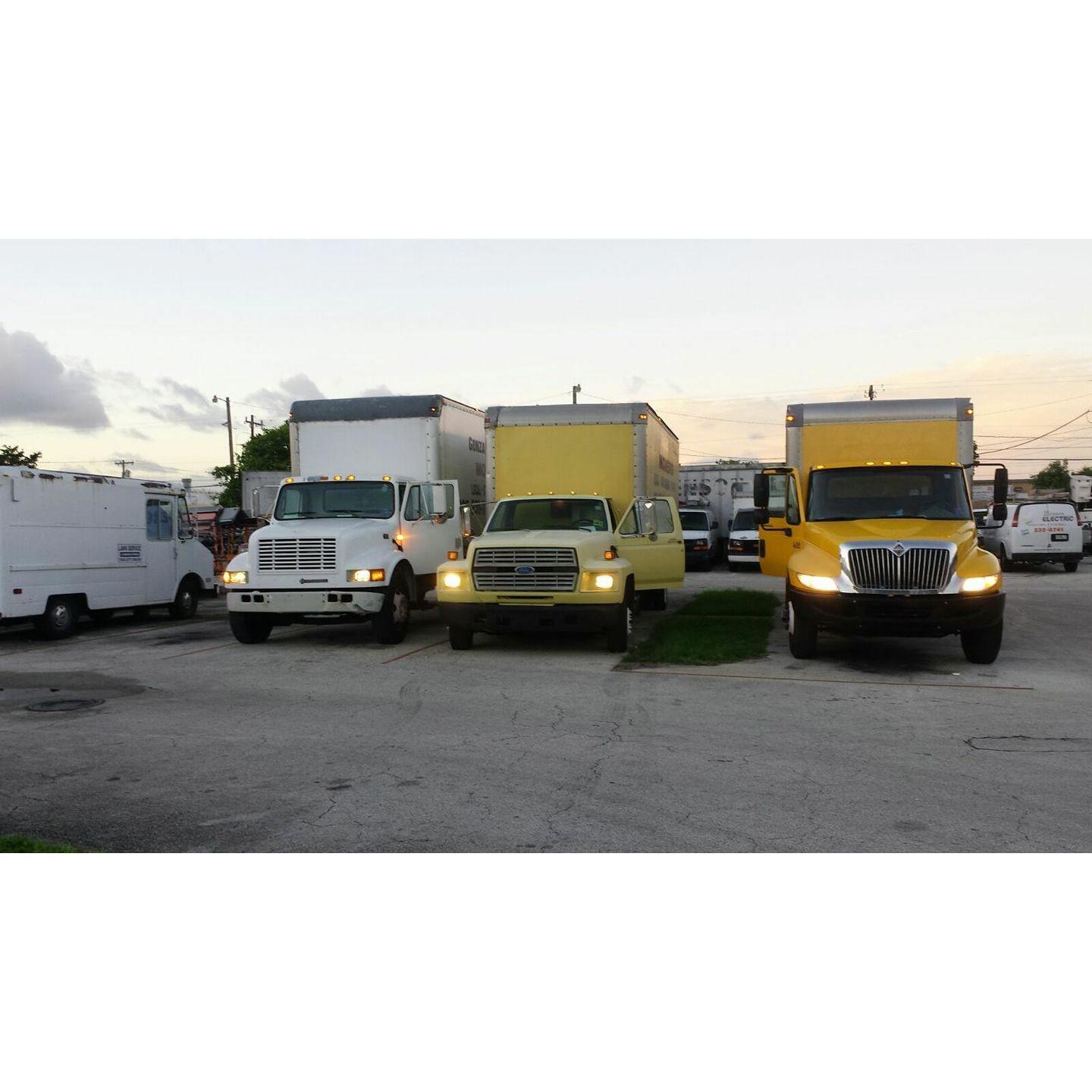 AGONZALEZ INTL FLORIDA MOVERS