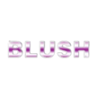 Blush Cleaning Service LLC