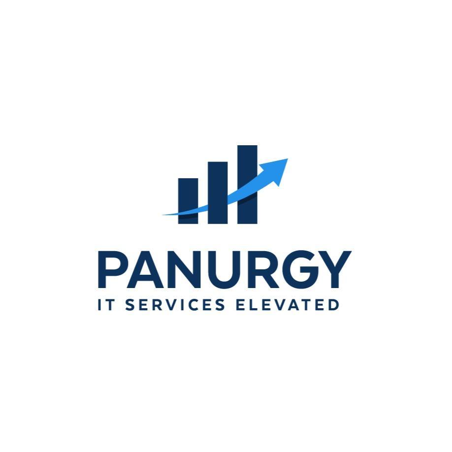 Panurgy IT Solutions