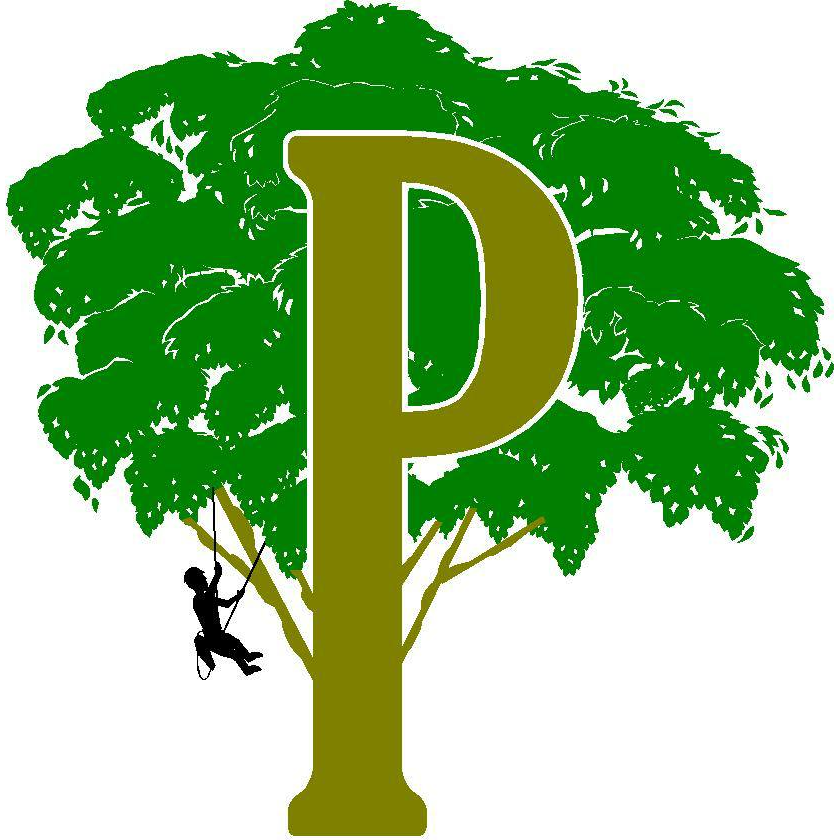 Patterson Tree Service Plus LLC