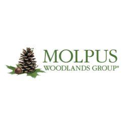 The Molpus Woodlands Group, LLC