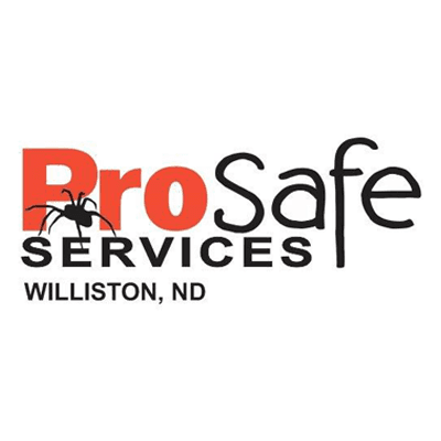 Pro Safe Services, Inc.