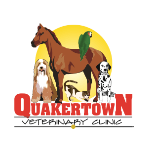 Quakertown Veterinary Clinic