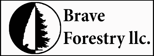 Brave Forestry LLC