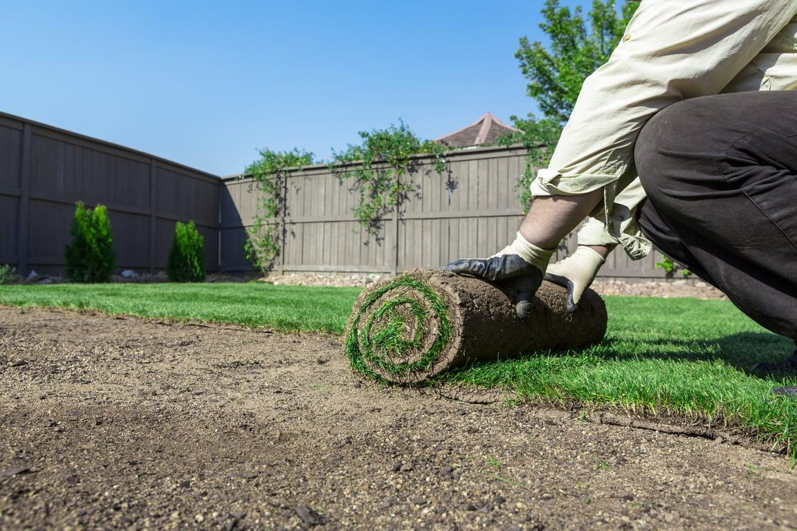 Landscaping