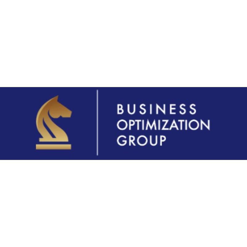 Business Optimization Group