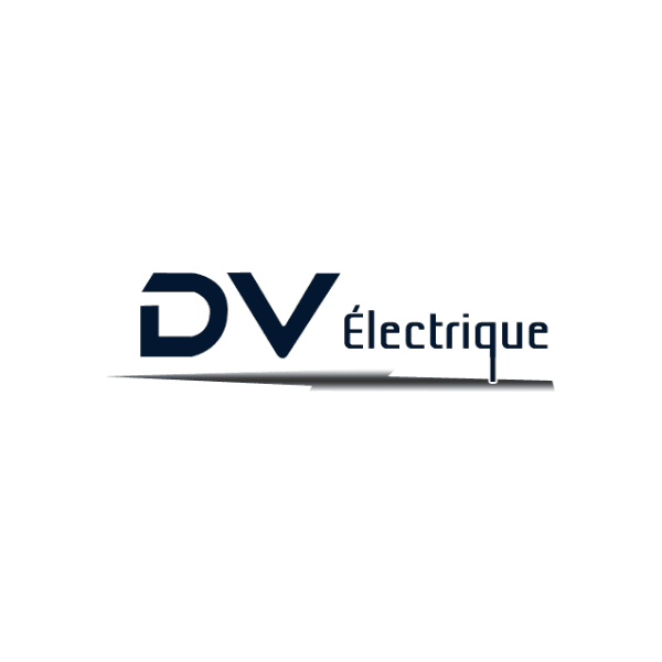 Dominique Vincent Electrique