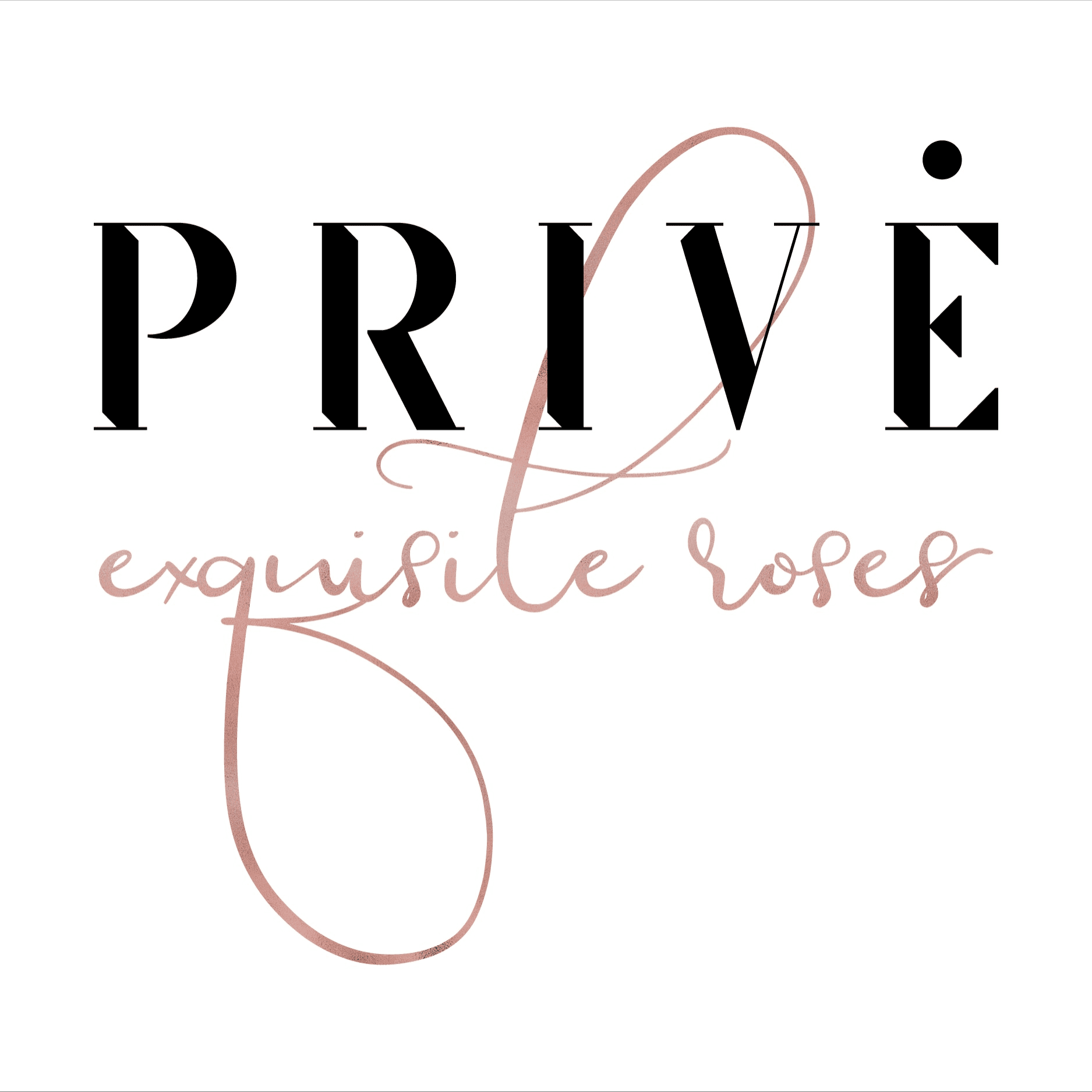 Privé Roses