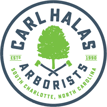 Halas Arborists