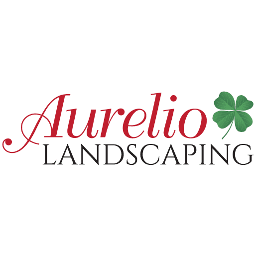 Aurelio Landscaping