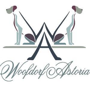 Woofdorf Astoria of Lakewood Ranch