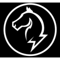 White Horse Electric Inc