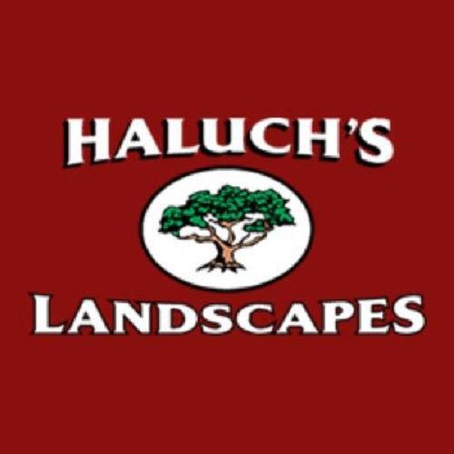 Haluch’s Landscapes of Florida