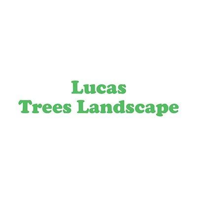 Lucas Trees Landscape