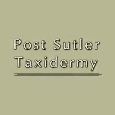 Post Sutler Taxidermy