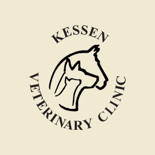 Kessen Veterinary Clinic