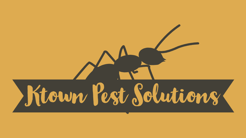 Ktown Pest Solutions