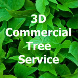 3D Commercial Tree Service