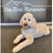 Blue Ridge Refrigeration