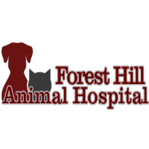 Forest Hill Animal Hospital