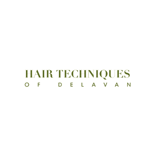 Hair Techniques Of Delavan