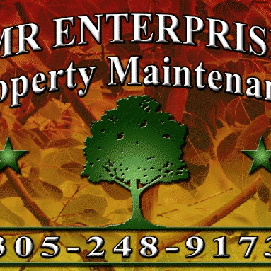 TMR Enterprises LLC.