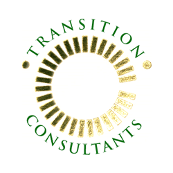 Transition Consultants