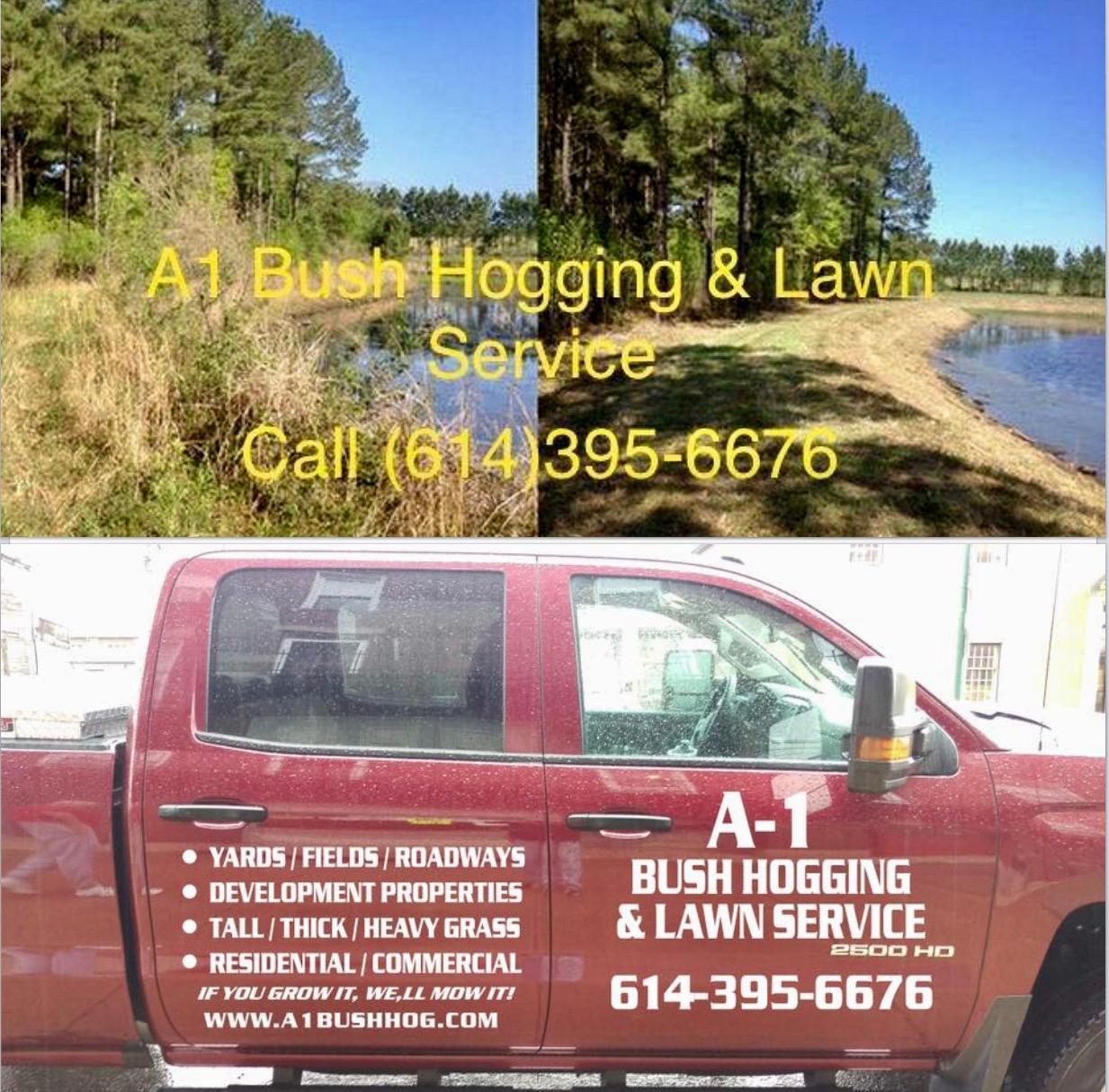 A1 Bush Hogging & Lawn Service