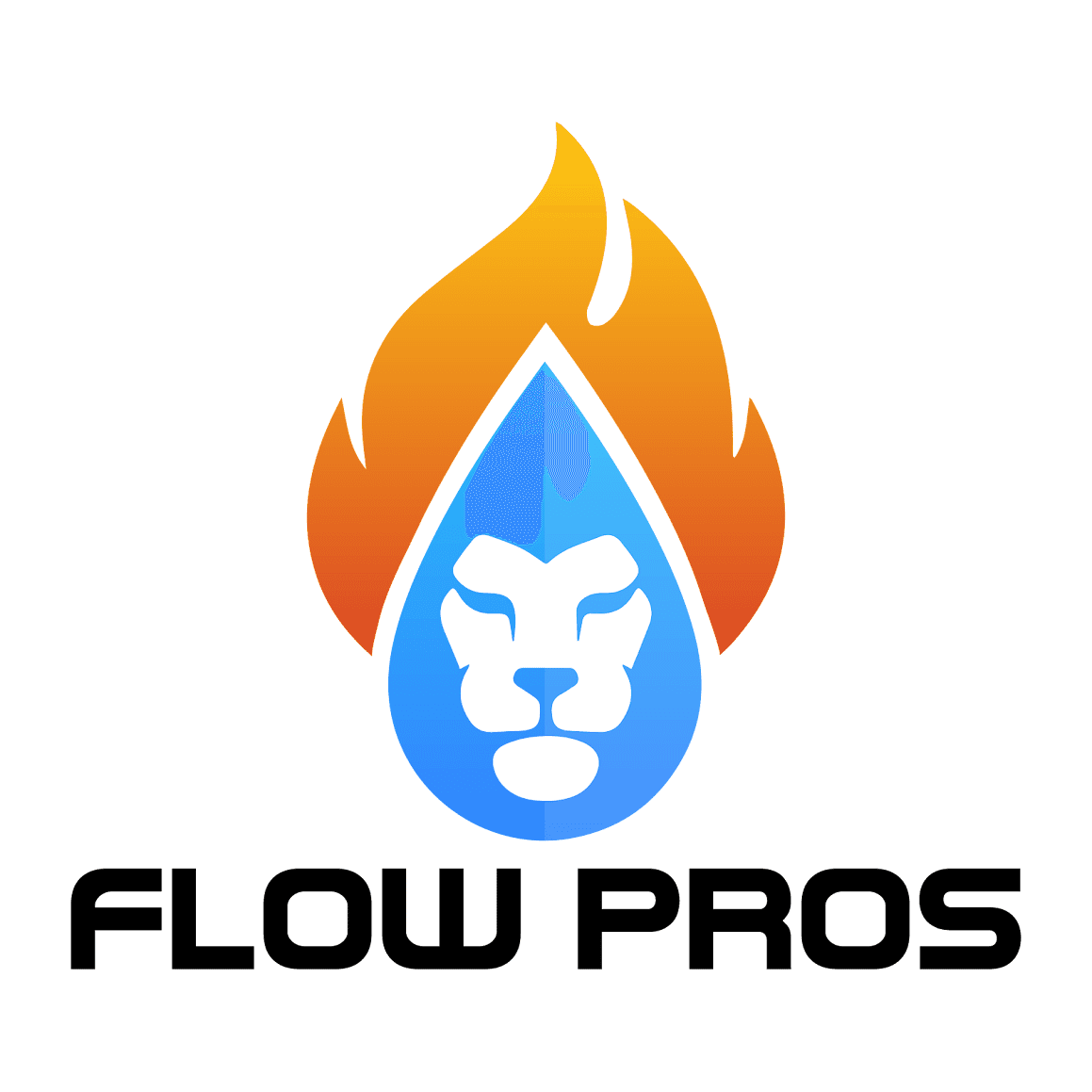 Flow Pros