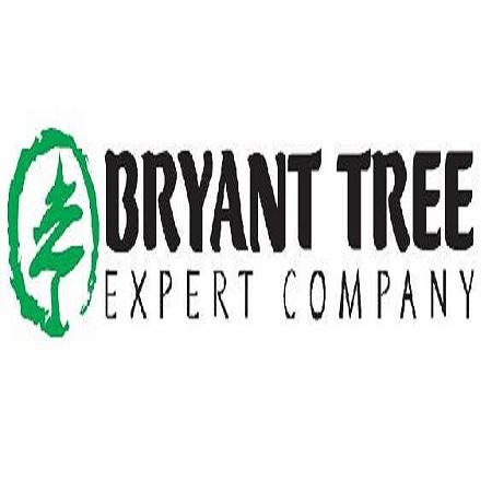 Bryant Tree Experts