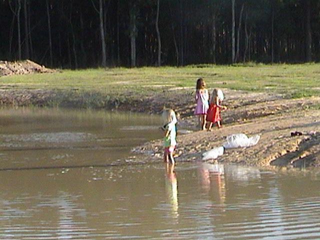 Carrollwoods RV Campground & Vineyard