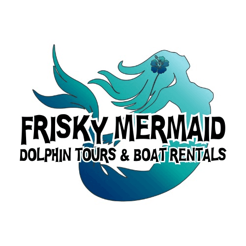 Frisky Mermaid Dolphin Cruises & Pontoon Boat Rentals