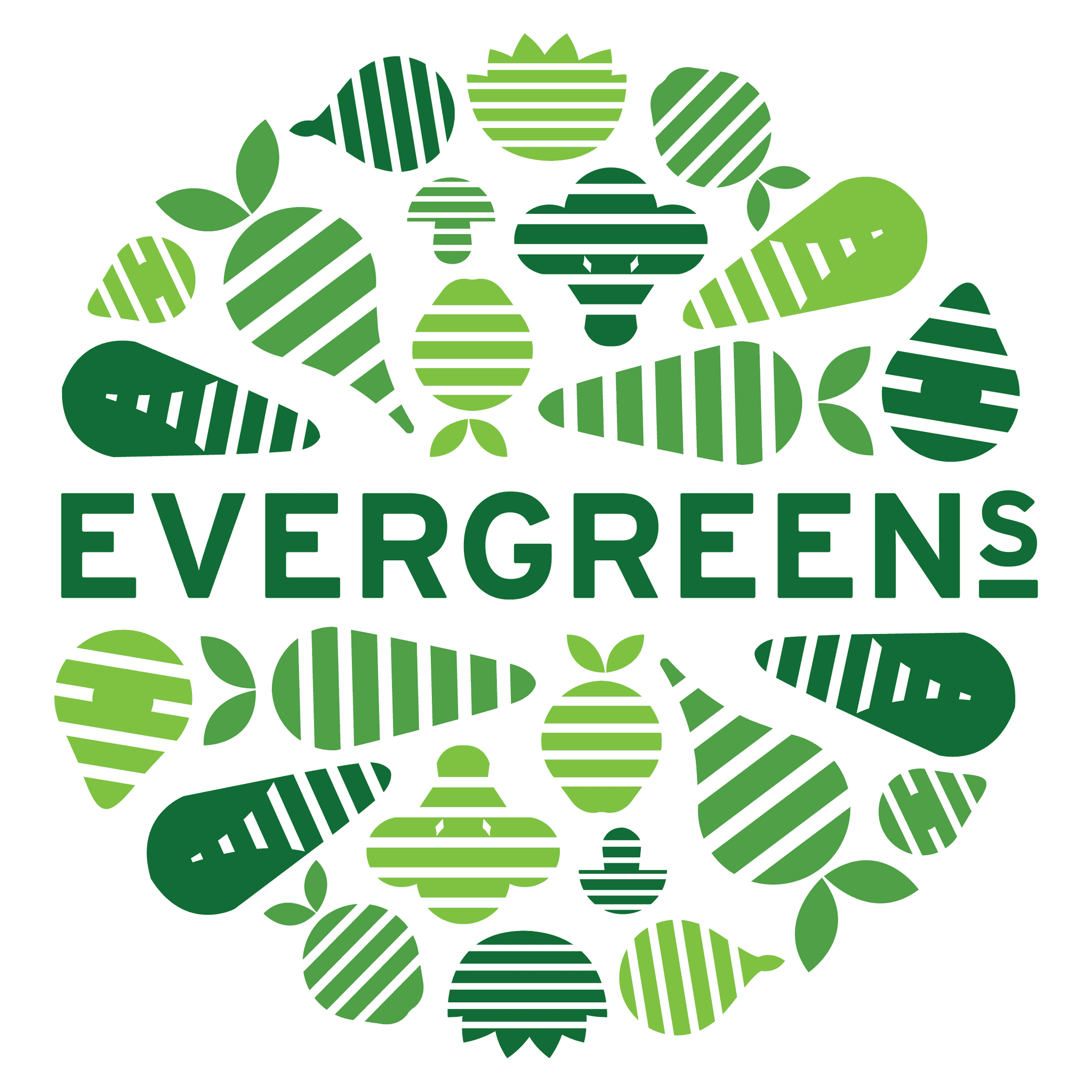 Evergreens